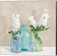 Floral Setting with Glass Vases II Fine Art Print