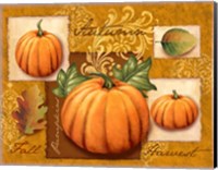 Harvest Pumpkins Fine Art Print