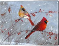 Winter Cardinals Fine Art Print