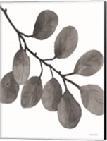 Leaves in Gray I Fine Art Print