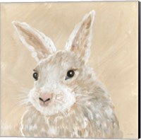 Benny the Bunny Fine Art Print