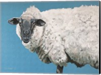 Wooly Sheep Fine Art Print