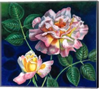 My Favorite Rose Fine Art Print