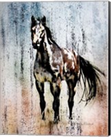 The Mustang King Fine Art Print