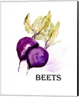 Veggie Sketch III-Beets Fine Art Print