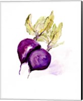 Veggie Sketch plain III-Beets Fine Art Print