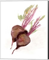 Veggie Sketch plain IV-Brown Beets Fine Art Print