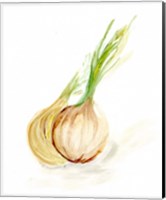 Veggie Sketch plain X-Onion Fine Art Print
