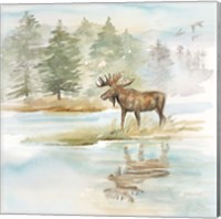 Woodland Reflections II-Moose Fine Art Print