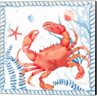 Nautical Sea Life I-Crab Fine Art Print