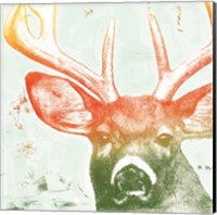 Portrait of a Deer rainbow Fine Art Print