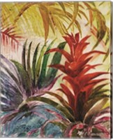 Tropic Botanicals VI Fine Art Print