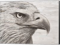 Eagle landscape Fine Art Print