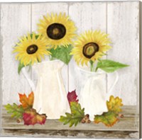 Fall Sunflowers IV Fine Art Print