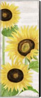 Fall Sunflowers panel I Fine Art Print