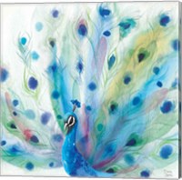 Peacock Glory V Fine Art Print
