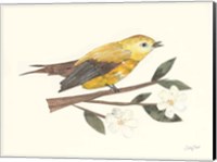 Birds and Blossoms I Fine Art Print