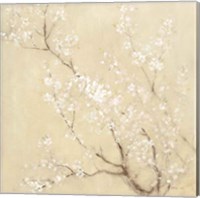 White Cherry Blossoms I Linen Crop Fine Art Print