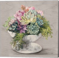 Festive Succulents II Gray Fine Art Print