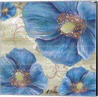Blue Poppies and Text 1 Fine Art Print