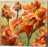 Orange Orchid Bloom Fine Art Print