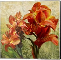 Orange Orchid Passion 1 Fine Art Print