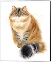 Siberian Cat Fine Art Print