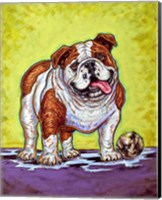 Bulldog and Baseball Fine Art Print