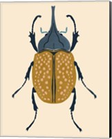 Beetle Bug II Fine Art Print