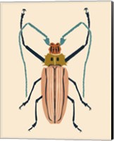 Beetle Bug IV Fine Art Print