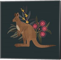 Australian Animals IV Fine Art Print