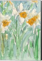 Daffodils Stems II Fine Art Print