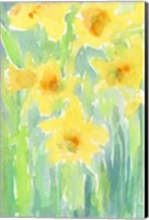 Daffodils I Fine Art Print