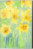 Daffodils II Fine Art Print