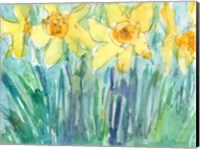 Daffodil Blooms I Fine Art Print