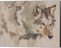 Timber Wolf I Fine Art Print