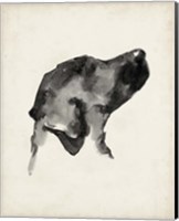 Puppy Profile I Fine Art Print