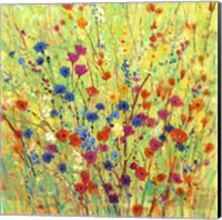 Wildflower Patch I Fine Art Print