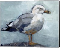 Seagull Stance I Fine Art Print