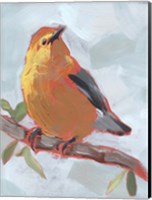 Painted Songbird III Fine Art Print