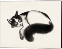 Cat Laze I Fine Art Print