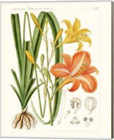 Bright Botanicals VIII Fine Art Print