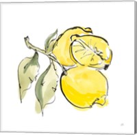 Lemon Still Life II Fine Art Print