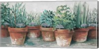 Pots of Herbs II Cottage Fine Art Print