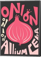 Kitchen Onion Fine Art Print
