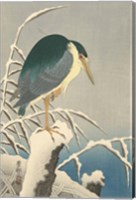 Heron in Snow, 1920-1930 Fine Art Print