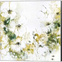 Flower Blush 3 Fine Art Print