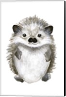 Little Hedgehog Fine Art Print