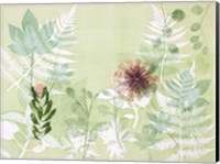A Myriad Celebration of Plants Fine Art Print