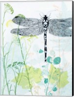 Dragonfly And The Healing Plant Fine Art Print